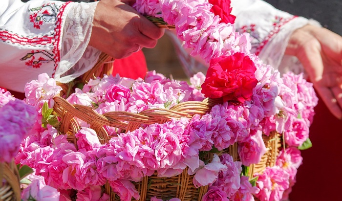 خواص گلاب برای پوست و زیبایی